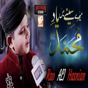 Mere Seene Main Hai - Single image
