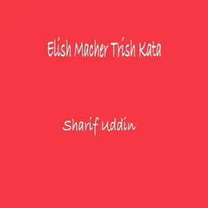 Elish Macher Trish Kata (feat. Aunik Faisal) image