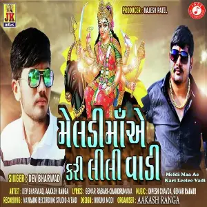 Meldi Maa Ae Kari Leelee Vadi image