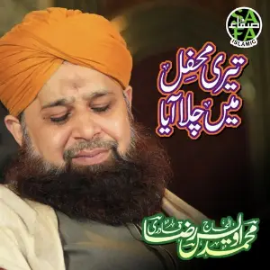 Sarkar Ki Gali May, Vol. 9 Alhajj Muhammad Owais Raza Qadri, Alhajj Muhammad Owais Raza Qadri