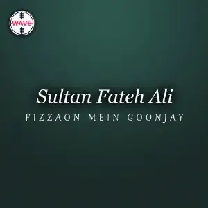 Fizzaon Mein Goonjay - Single image