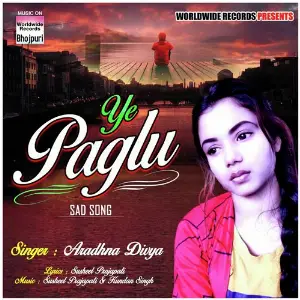Ye Paglu image