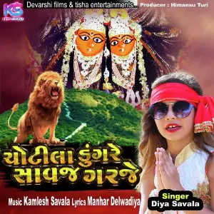 Chotila Dungare Savaj Garje image