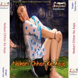 Nokari Chhor Ke Aaja image