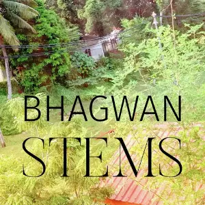 Stems image