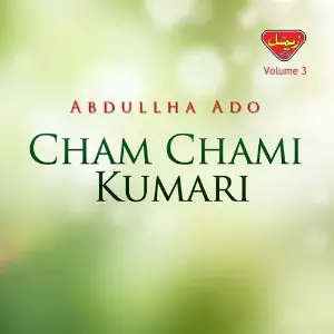 Cham Chami Kumari, Vol. 3 image