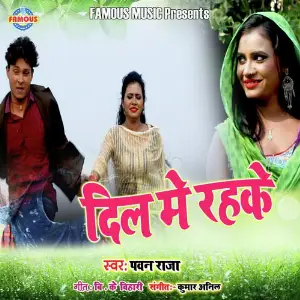 Dil Me Rahke image