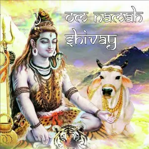 Om Namah Shivay Rameshbhai Ozha