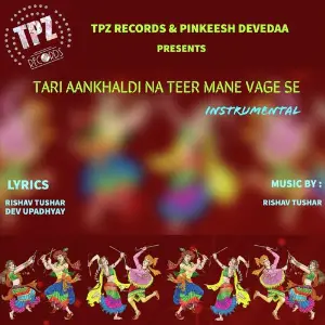 Tari Aankhaldi Na Teer Mane Vage Se (Instrumental) image