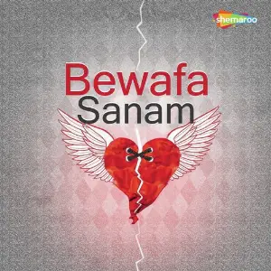 Bewafa Sanam image