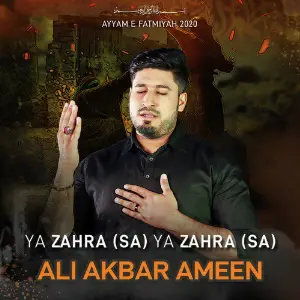 Ya Zahra (Sa) Ya Zahra (Sa) image