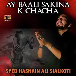 Ay Baali Sakina K Chacha image