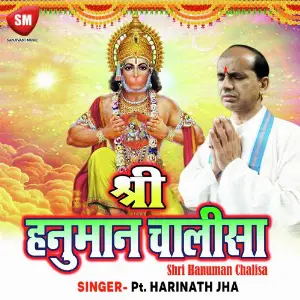 Shri Hanuman Chalisa image
