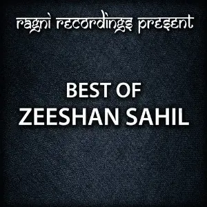 Best of Zeeshan Sahil image