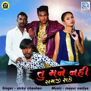 Tu Mane Nahi Samji Sake image