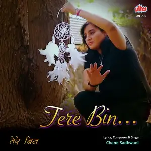 Tere Bin image