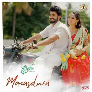 Manasoluva (From Smile) image