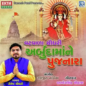 Vatwala Choudhary Arbuda Mane Pujnara image