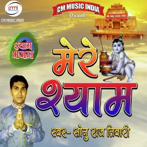 Mere Shyam image