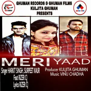 Meri Yaad image