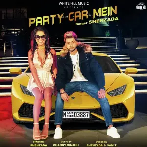Party Car Mein image