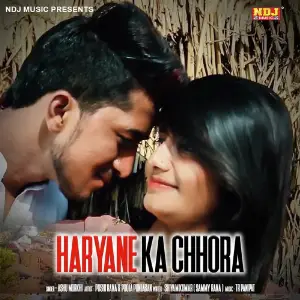 Haryane Ka Chhora image