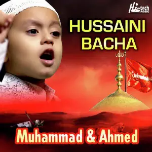 Hussaini Bacha image