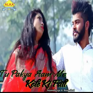 Tu Pakya Aam Me Kele Ki Fali image