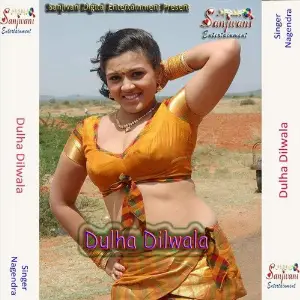 Dulha Dilwala image