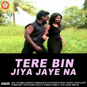 Tere Bin Jiya Jaye Na Anil Sharma