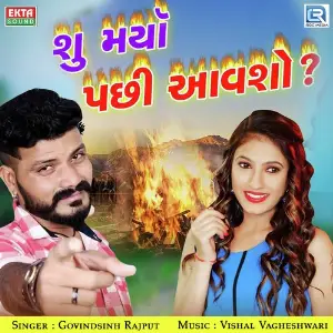 Su Marya Pachhi Aavso image