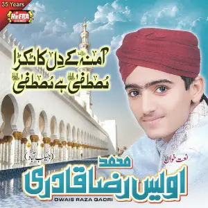 Amna Ke Dil Ka Tukra Mustafa image