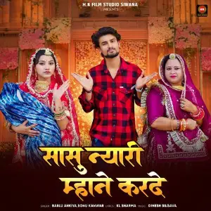 Sasu Nyari Mhane Karde image