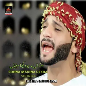Sohna Madina Dekha Sohniya image
