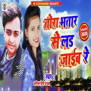 Tora Bhatar Se Lad Jaiib Re image