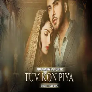 Tum Kon Piya - OST Rahat Fateh Ali Khan