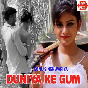 Duniya Ke Gum image