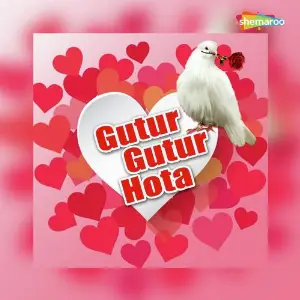 Gutur Gutur Hota image