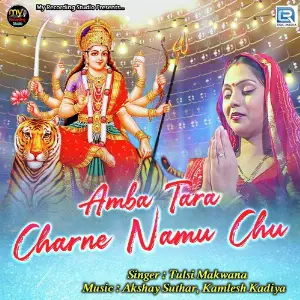 Amba Tara Charne Namu Chhu image