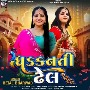 Dhadkanti Dhel image