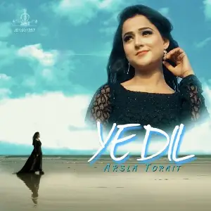 YEH DIL image