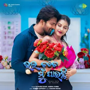 Bhala Tate Mu Pauchi image