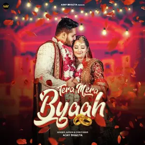 Tera Mera Byaah image
