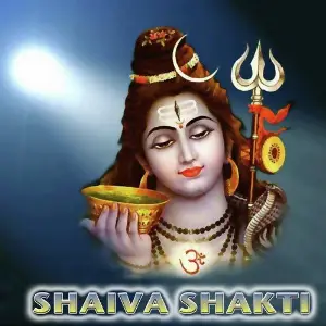 Shaiva Shakti image