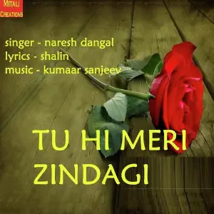 Tu Hi Meri Zindagi image