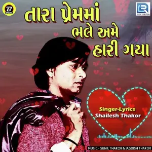 Tara Prem Ma Bhale Ame Hari Gaya image