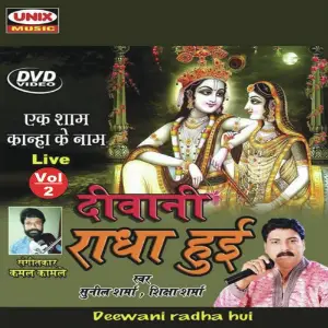 Deewani Radha Hui Part 2 image