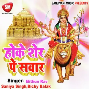 Hoke Sher Pe Sawaar image