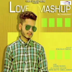 Love Mashup image