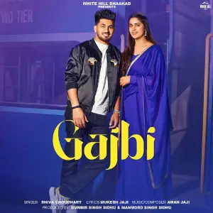 Gajbi image